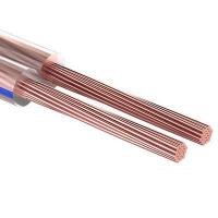 Кабель Stereo 2х2.0 BLUE LINE 100 м (м) REXANT 01-6207-3